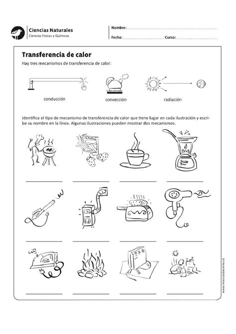 Transmisi N Del Calor Worksheet Transferencia De Calor Prueba De