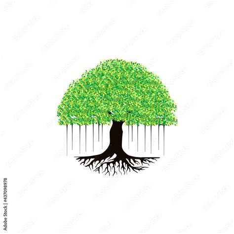 Banyan tree vector illustration. roots of banyan tree. Stock Vector ...