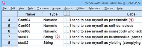 Spss Recode With Value Labels Tool