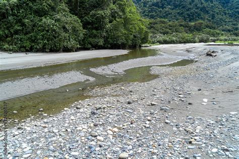 Rivers of the Amazon rainforest with green landscape Stock Photo ...