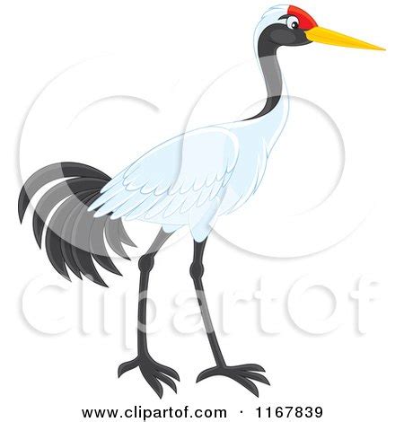 Royalty-Free (RF) Sarus Crane Clipart, Illustrations, Vector Graphics #1