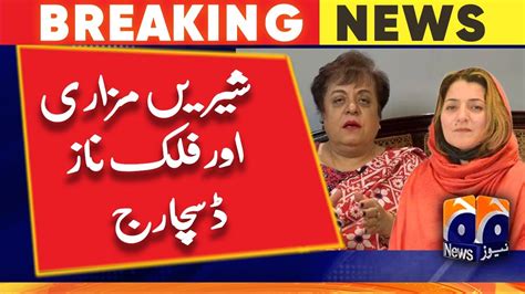 Pti Leader Shireen Mazari Falak Naz Chitrali Discharged From Attempted Murder Case Youtube