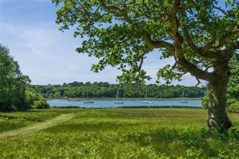 Exbury Gardens Ian Capper Geograph Britain And Ireland