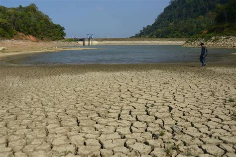 7 Dampak Perubahan Iklim Bagi Manusia Dan Lingkungan Lifestyle