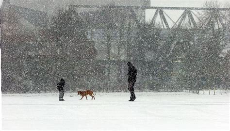 Historic Stanley Park set for revamp - Liverpool Echo