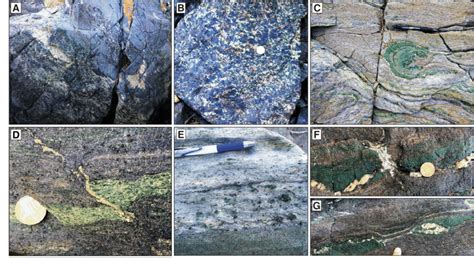 Representative field photos from Kini. (A, B)... | Download Scientific ...