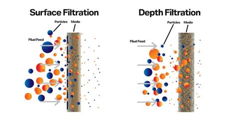 The Ultimate Guide To Choosing The Perfect Depth Filter Cartridge