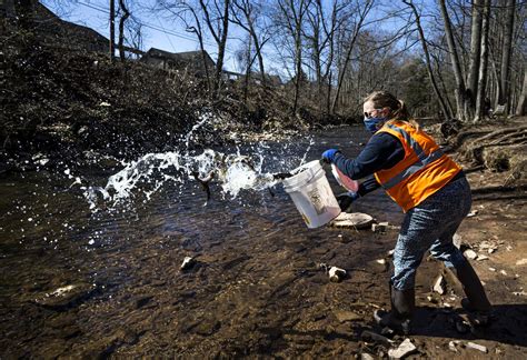 Pennsylvania To Stock Million Trout For The Trout Fishing