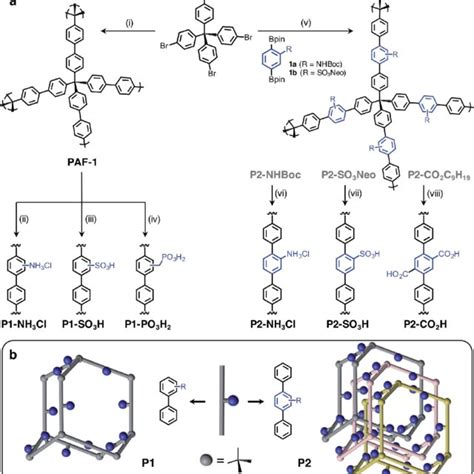 A General Scheme For The Syntheses Of P1 And P2 Polymers