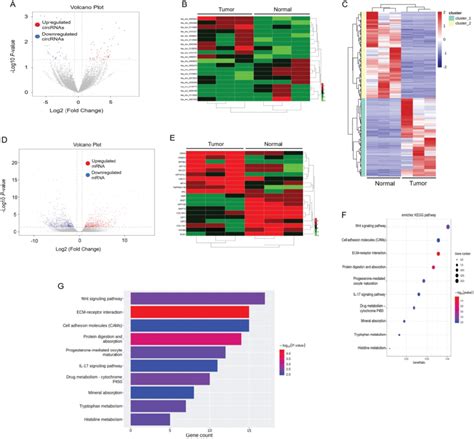 CircRNA And MRNA Expression Profiles In ESCC A Volcano Plots Showed