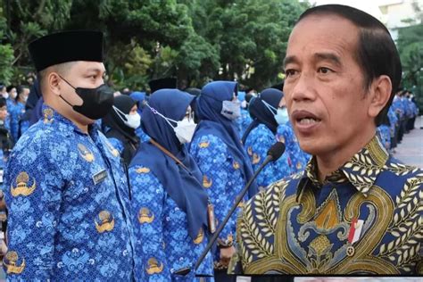 Jokowi Mulai Putus Masa Kontrak PPPK Jabatan Fungsional Jika Terbukti