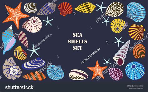 Colorful Tropical Shells Underwater Icon Set Stock Vector Royalty Free