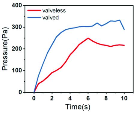 Single-chamber valveless and valved output pressure. | Download ...