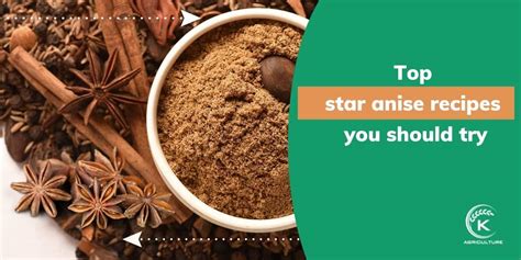 Top Star Anise Recipes You Should Try | K-Agriculture