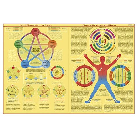 Poster Of The Five Elements And Their Cycles Circulation Of The