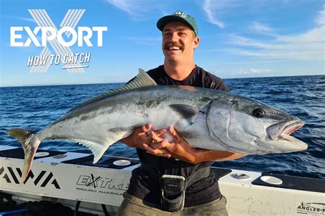 How To Catch Kingfish And Baitfish The Fishing Website