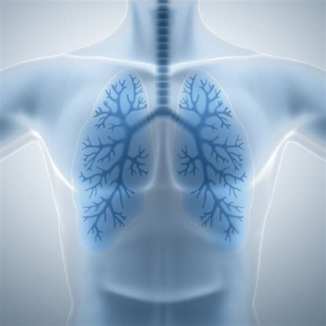 Beta Adrenergic Agonists: Specific Beta Adrenergic Bronchodilators