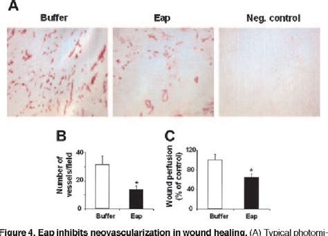 Figure 4 From The Extracellular Adherence Protein Eap Of