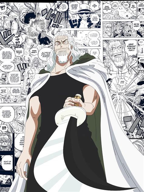 My Silver Rayliegh One Piece Rayleigh Hd Phone Wallpaper Pxfuel