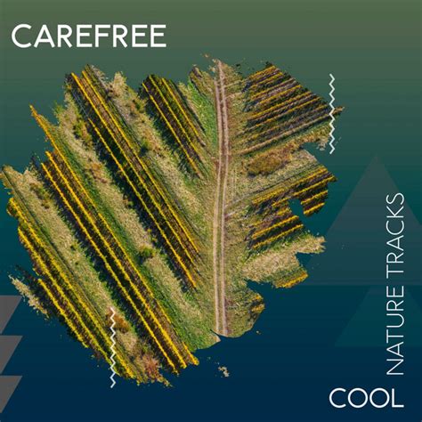 ZZz Carefree Cool Nature Tracks ZZz Album By Rainforest Sounds Spotify