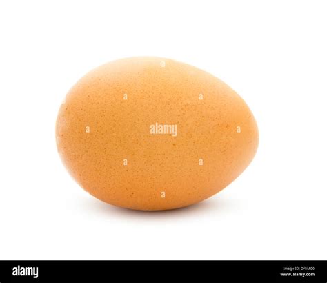 Single Egg Isolated On White Background Stock Photo Alamy