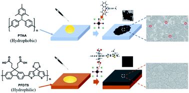 A Dopant Free Hole Transport Material Boosting The Performance Of