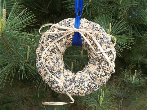 Making Bird Seed Wreaths | Birdcage Design Ideas