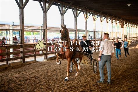 World's Championship Horse Show - Thursday PM 8/24 - National Horseman