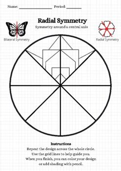 Radial Symmetry Worksheet by CloudCut Studio | TPT