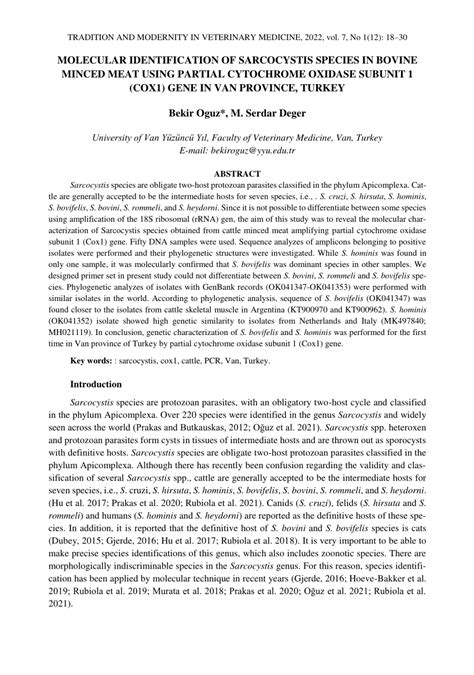 PDF MOLECULAR IDENTIFICATION OF SARCOCYSTIS SPECIES IN BOVINE MINCED