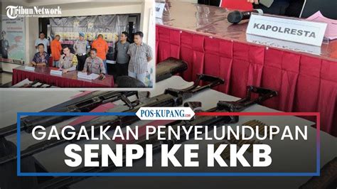 Aparat Kepolisian Maluku Gagalkan Penyelundupan Senpi Ke Kkb Papua