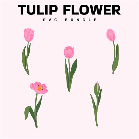 Tulip Flower SVG MasterBundles