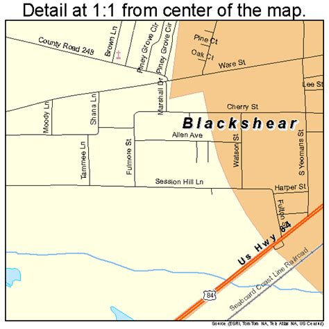 Blackshear Georgia Street Map 1308284