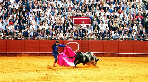 Castilla Y Le N Crea Los Premios De Investigaci N Sobre Tauromaquia