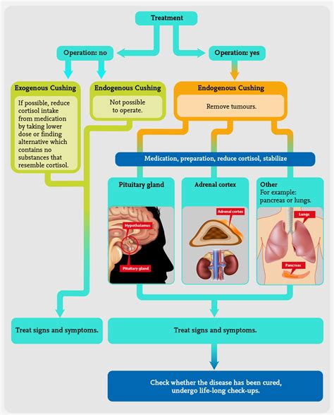 Cushing's syndrome infographic - Adrenals.eu