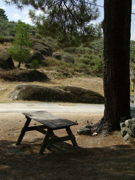 Parque De Merendas Da Nossa Senhora Dos Milagres Fornos De Algodres