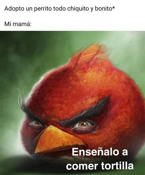 Siempre Espectador Nunca Protagonista Memes