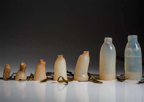 La bouteille bio dégradable pour remplacer les bouteilles en plastique