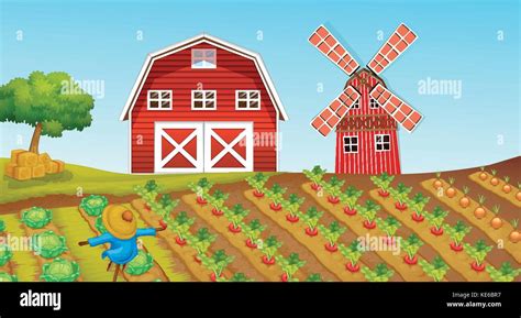 Farmland with crops on the farm illustration Stock Vector Image & Art ...