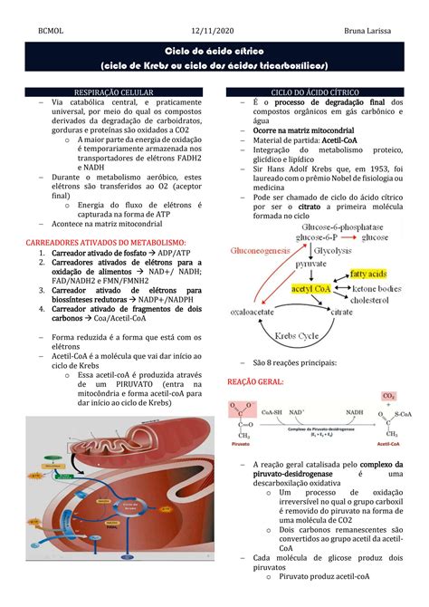 Solution Ciclo Do Cido C Trico Studypool