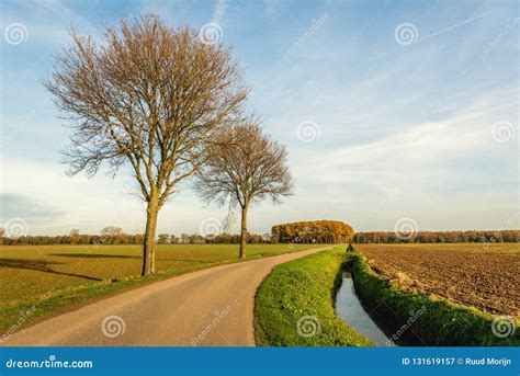 Agricultural Dutch Polder Landscape In Autumn With A Plowed Field And