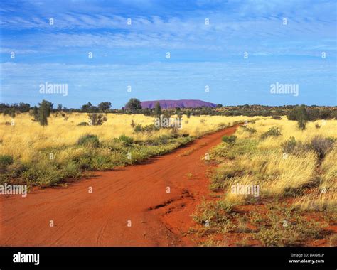 Landscape In Australia Outback Australia Stock Photo Alamy