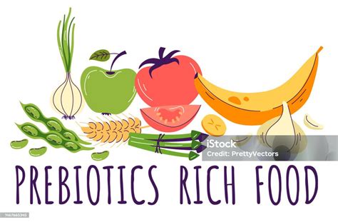 Prebiotic Fiber Rich Food Vector Infographics Concept Vector Cartoon