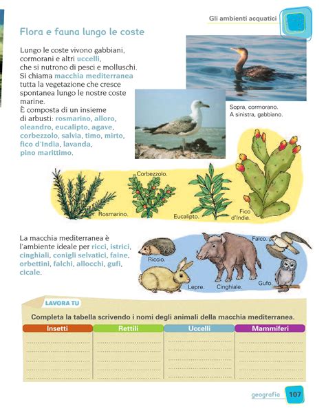 Magicamente Insieme 3 Storia Geografia By ELI Publishing Issuu