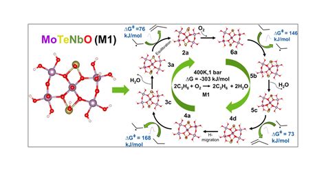 Quantum Chemical Modeling Of The Full Catalytic Cycle For Selective