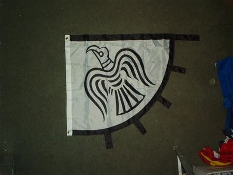 Vikings Raven Banner Norse c800 US Historic 2×3 Flag – flagsandstuff.com