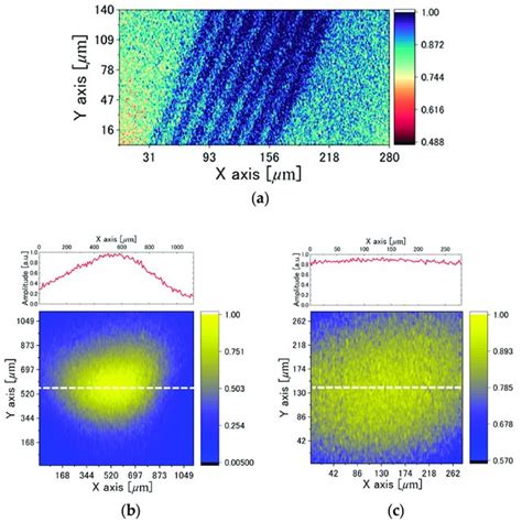 Pdf Label Free Observation Of Micrometric Inhomogeneity Of Human