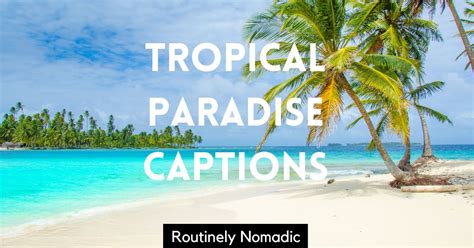 100 Perfect Tropical Paradise Captions For Your Island Visit