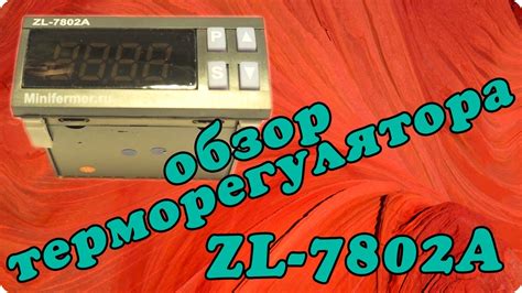 Обзор и инструкция терморегулятора для инкубатора Lilytech ZL-7802A