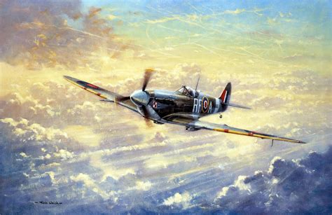 Flying Spitfire Wallpaper by Kevin Walsh | Wallsauce UK